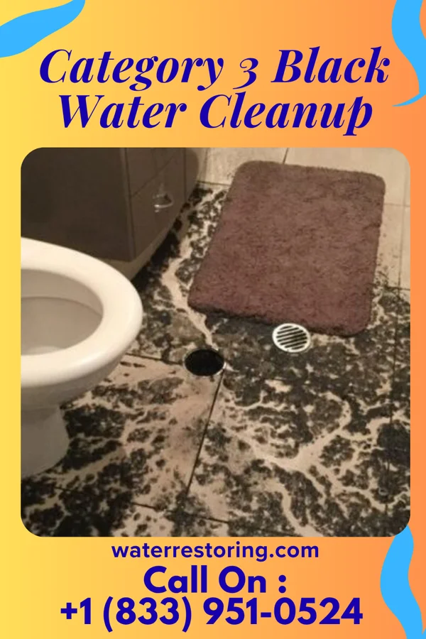 Category 3 Black Water Cleanup in Folsom, NM