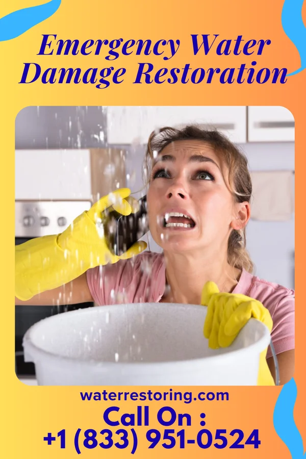 Emergency Water Damage Restoration in Folsom, NM