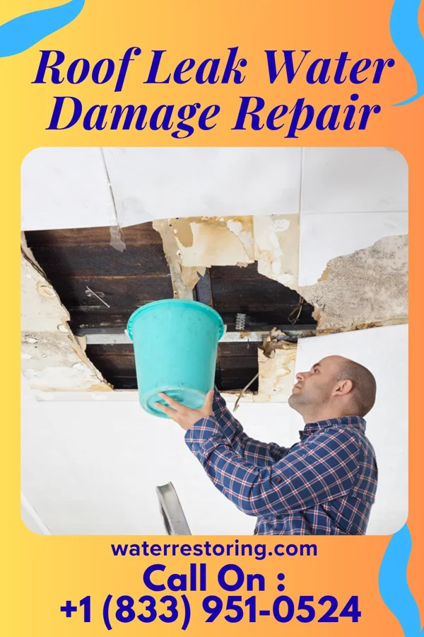 Roof Leak Water Damage Repair in Folsom, NM
