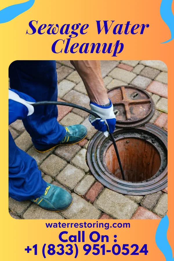 Sewage Water Cleanup in Folsom, NM